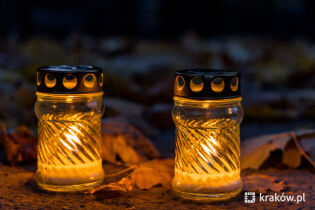 Dekoracja grobów a ochrona środowiska