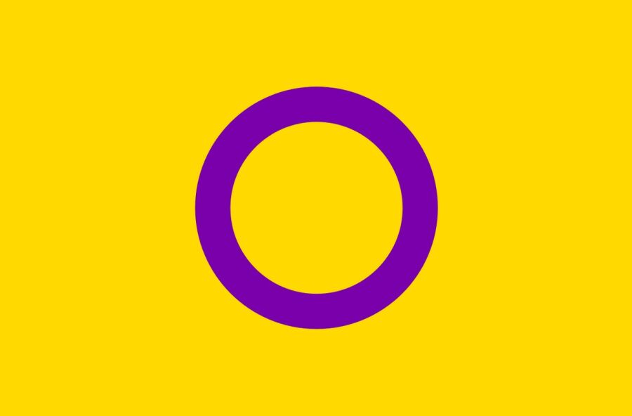 Dzień Wiedzy o Interpłciowości. Flaga społeczności osób interpłciowych 