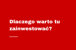 Dlaczego warto tu inwestować