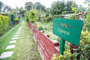 Nowe alejki, lampy i place zabaw w ROD-ach: miasto dofinansuje inwestycje