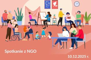 Spotkanie - współpraca z NGO