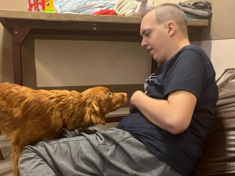 Dogoterapia - jak zajęcia z psiakami mogą wspierać rozwój i samopoczucie 