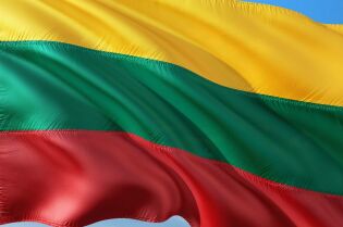 Grafika przedstawia flagę Litwy w poziome paski w kolorze żółtym, zielonym i czerwonym.