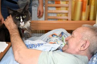 Leżący w łóżku starszy mężczyzna uśmiecha się i głaszcze dużego, długowłosego kota siedzącego obok niego. Obok stoi inna osoba, a w tle widać zasłony i fragment mebla.

