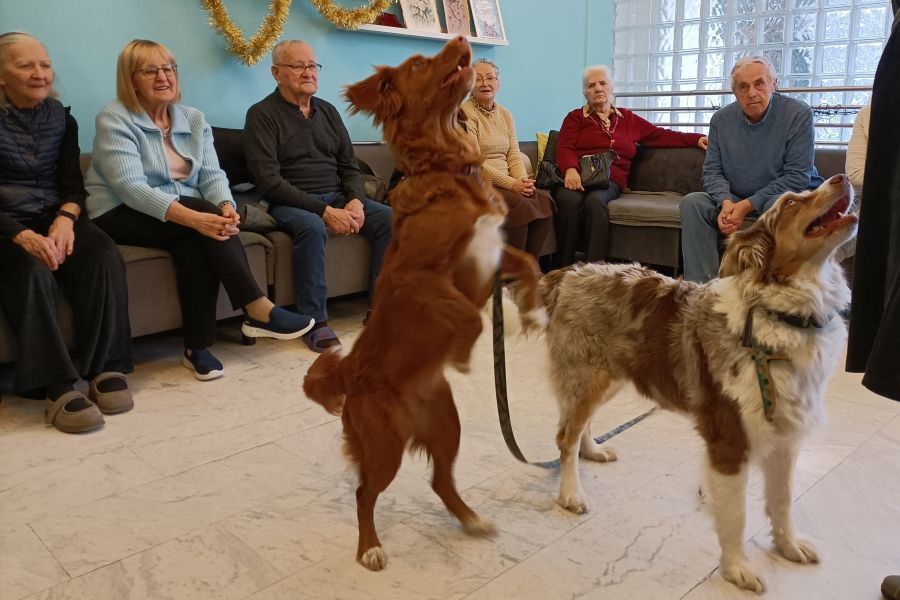 Drugie spotkanie z pieskami 3.12.2025 