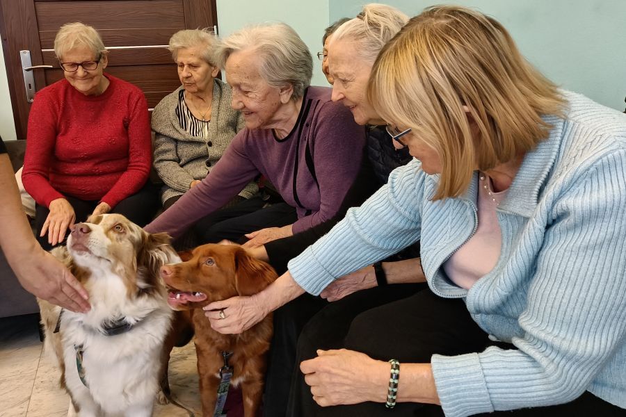 Drugie spotkanie z pieskami 3.12.2025 