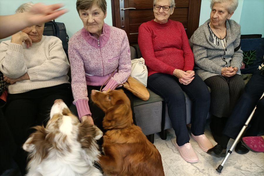 Drugie spotkanie z pieskami 3.12.2025 