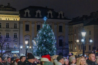Choinka zabłysła na Rynku Głównym