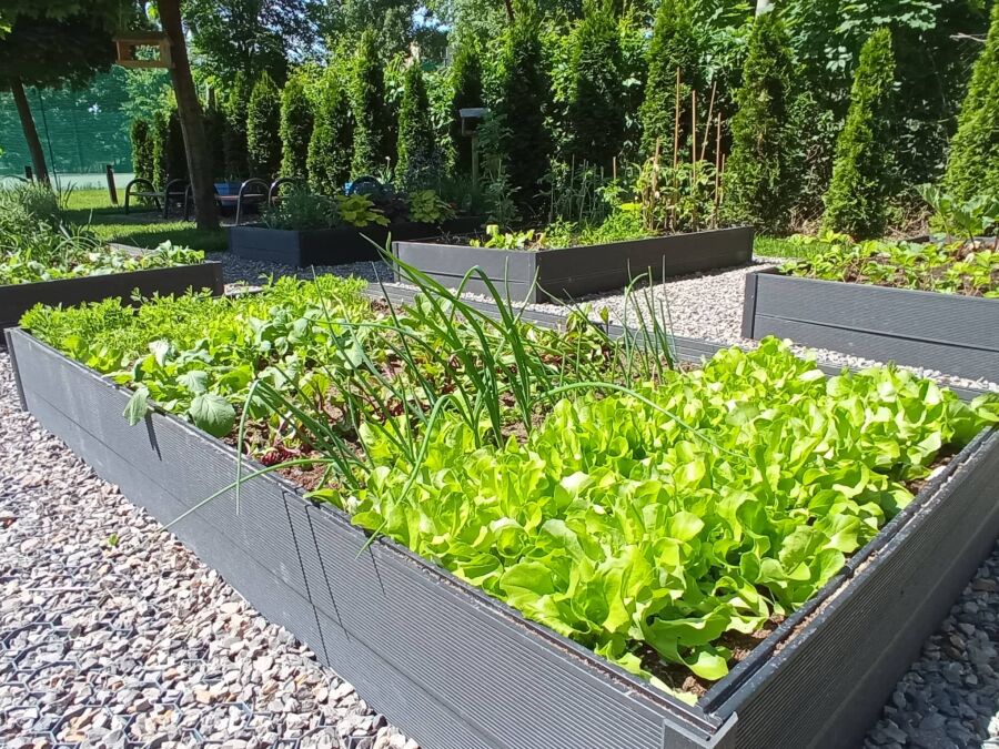 Zespół Szkolno-Przedszkolny nr 18, ul. Litewska 34