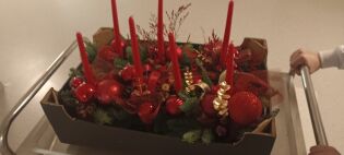 Wizyta Koła Wolontariatu ze Szkoły Podstawowej nr 34.