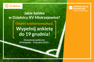 Informacja o tym, że ankietę można wypełnić tylko do dziewiętnastego grudnia