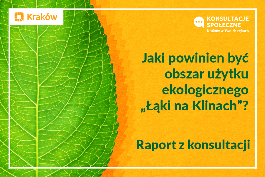 Rysunek przedstawia fragment zielonego liścia na żółto-pomarańczowym tle; z prawej strony napis: Jaki powinien być obszar użytku ekologicznego "Łąki na Klinach"? Raport z konsultacji