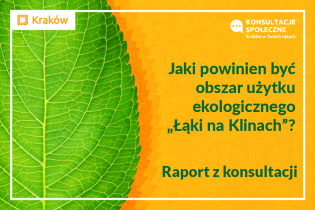 Rysunek przedstawia fragment zielonego liścia na żółto-pomarańczowym tle; z prawej strony napis: Jaki powinien być obszar użytku ekologicznego "Łąki na Klinach"? Raport z konsultacji