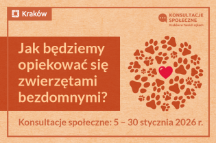 Jak będziemy opiekować się zwierzętami bezdomnymi?