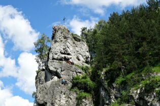 Grafika przedstawia białe skały w otoczeniu zieleni.