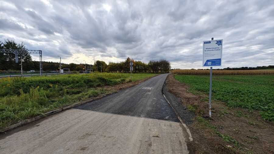 krzyżówka, olszanica, podsumowanie