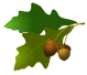 Gazeta Dębnicka 2025