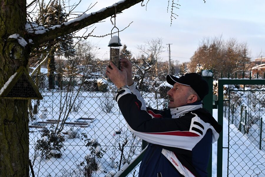 Mężczyzna w zimowej kurtce zawiesza karmnik dla ptaków na gałęzi drzewa w zaśnieżonym ogrodzie.

