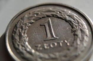 Grafika przedstawia monetę srebrną o nominale 1 zł.