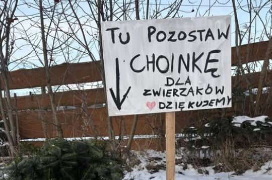Akcja Choinka.