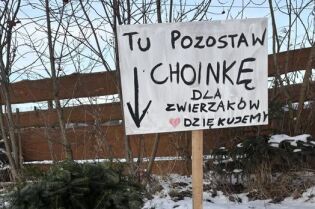 Akcja Choinka.