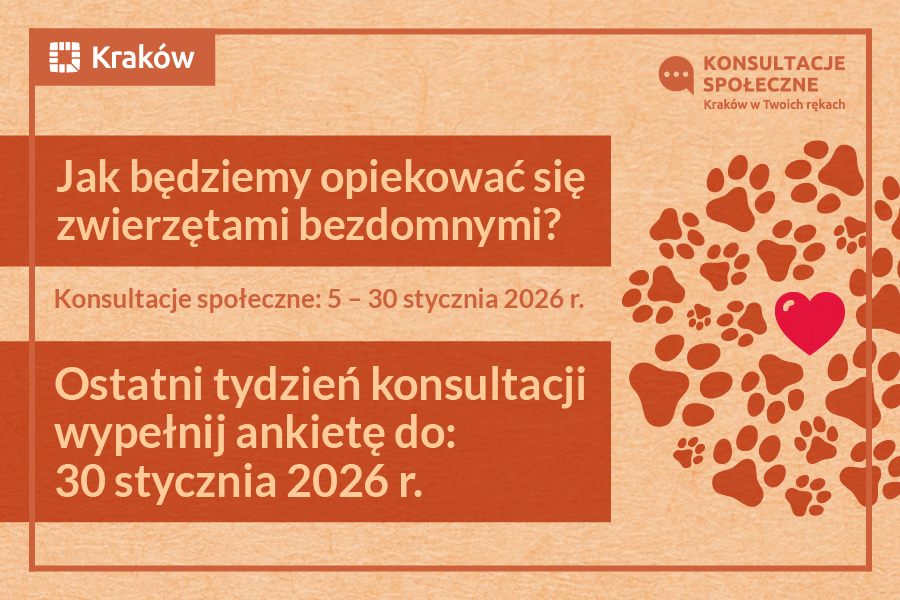 Jeszcze przez tydzień trwają konsultacje społeczne: Jak będziemy opiekować się zwierzętami bezdomnymi?