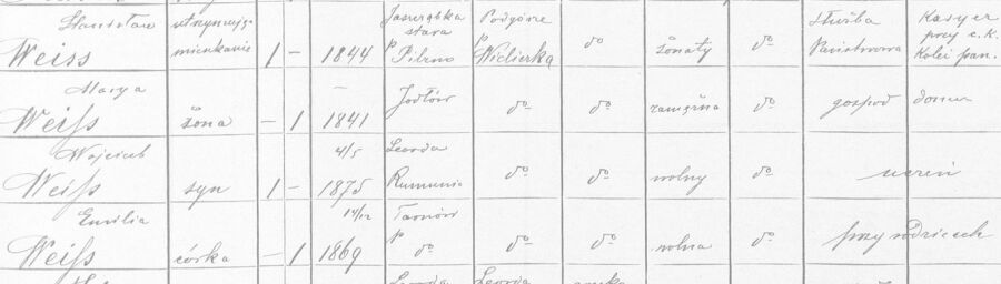 Wiessowie. Spis ludności miasta Podgórza za lata 1890. Archiwum Narodowe w Krakowie. 