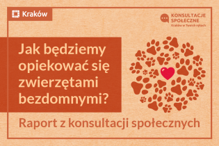 Rysunek przedstawia koło z odcisków zwierzęcych łap, w środku którego jest serce, po lewej napis: Jak będziemy opiekować się zwierzętami bezdomnymi? Raport z konsultacji społecznych