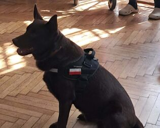 Kolejna wizyta Daktyla w naszym Domu.