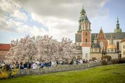 ranking Wiosna, Wawel_M6B0531-fot. Ela Marchewka.jpg