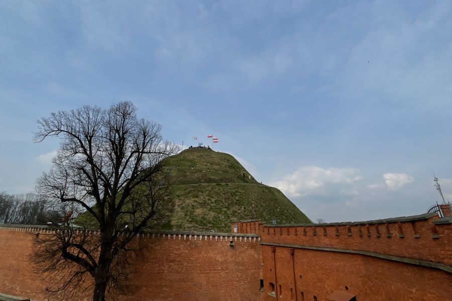 Wizyta w Muzeum Kościuszkowskim i wyjście na Kopiec Kościuszki