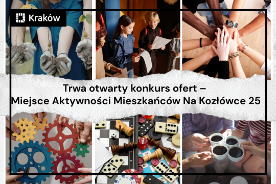 Miejsce Aktywności Mieszkańców Na Kozłówce 25