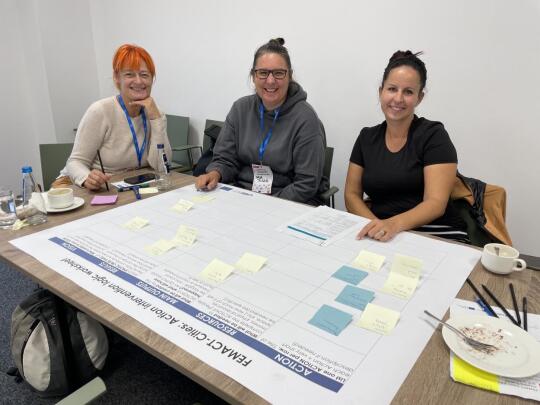 FEMACT-Cities Action Planning Network members