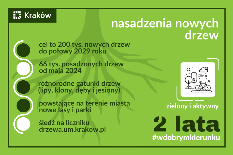 nasadzena 2 lata POP