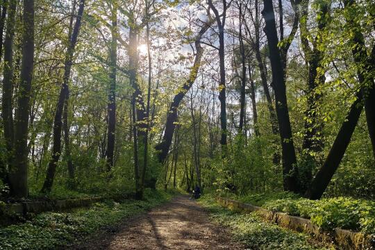 Jak zagospodarujemy Park Grzegórzecki