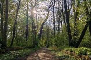 Jak zagospodarujemy Park Grzegórzecki