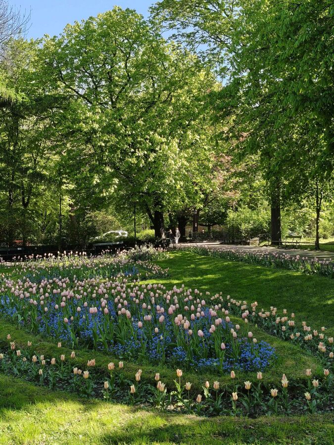 Zarząd Zieleni Miejskiej