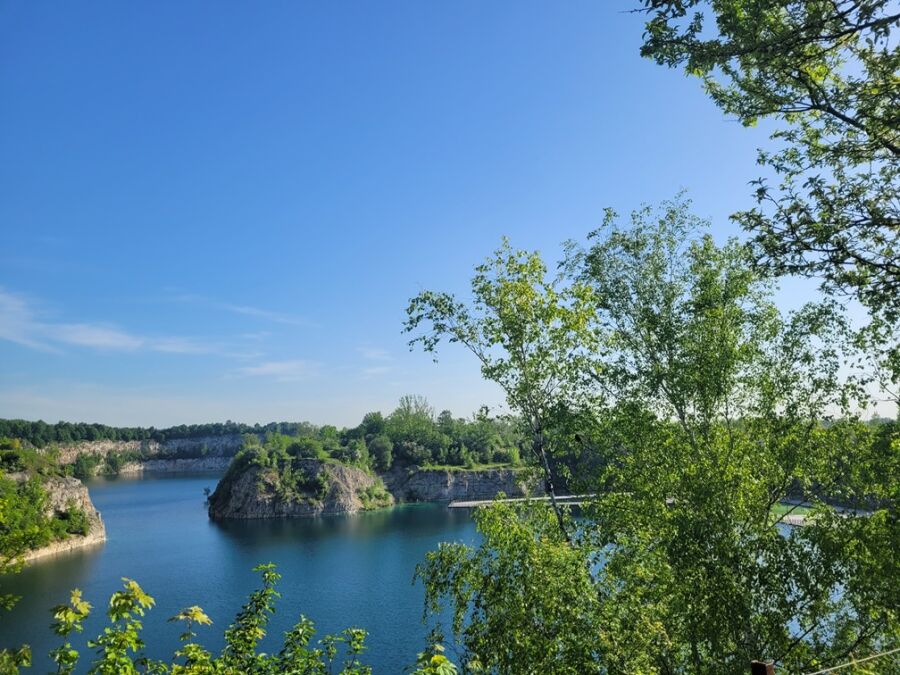 Zarząd Zieleni Miejskiej