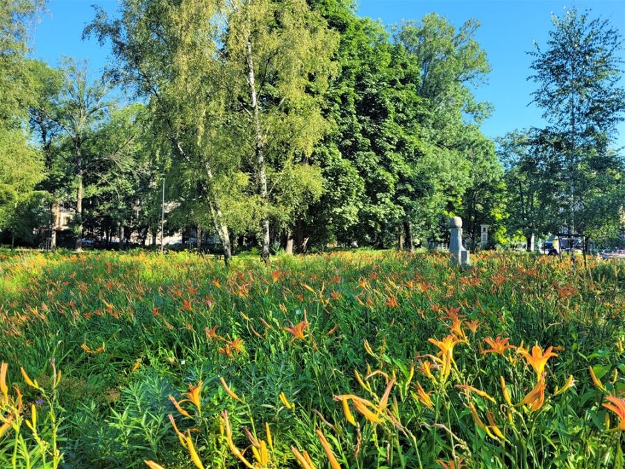 Zarząd Zieleni Miejskiej