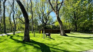 Psi wybieg przy ul. Mogilskiej