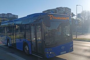 Linia 137