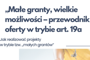  instrukcję postępowania przy składaniu ofert w trybie art. 19a