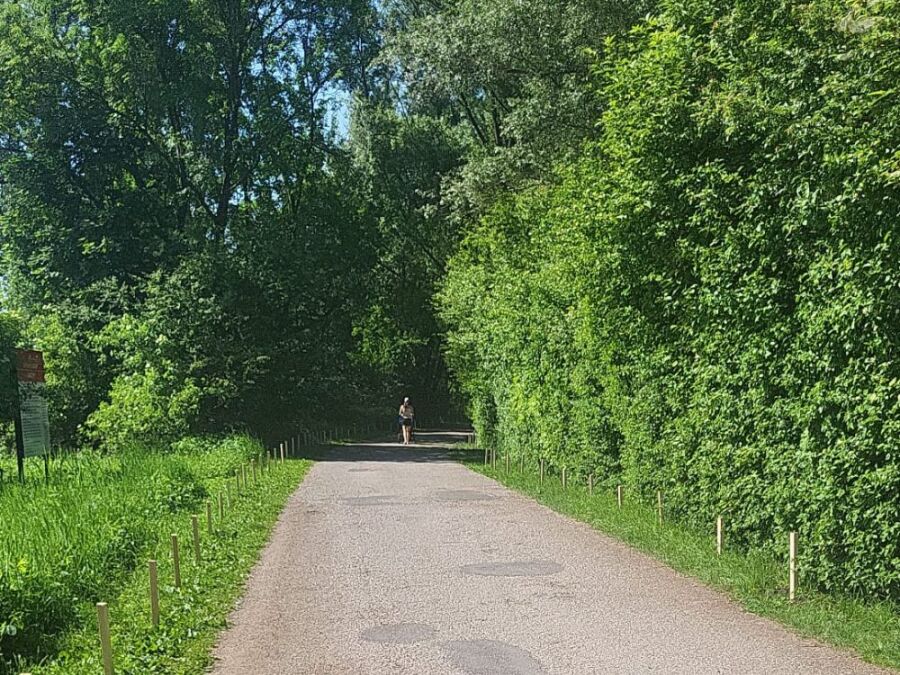Droga pieszo-rowerowa na Zakrzówku