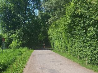 Droga pieszo-rowerowa na Zakrzówku