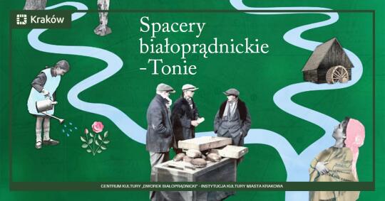 Spacer po Toniach – odkrywanie historii i krajobrazu