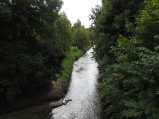 Białucha w Krakowie