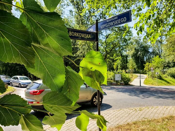 Skrzyżowanie ul. Borkowskiej i Krygowskiego