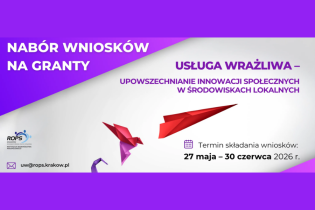 II nabór wniosków na pilotażowe wdrożenie usług społecznych bazujących na innowacyjnych rozwiązaniach