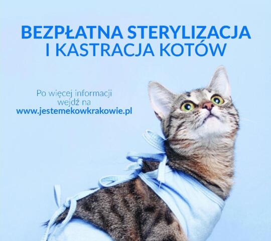 Bezpłatna sterylizacja/kastracja i znakowanie zwierząt na terenie Krakowa