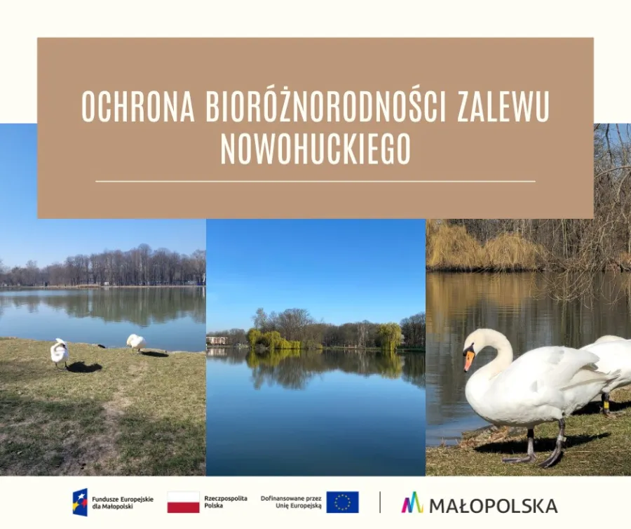 Ochrona bioróżnorodności Zalewu Nowohuckiego